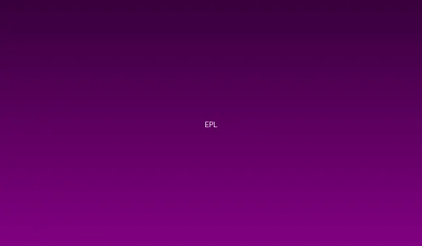 球友会与英超联赛官方合作